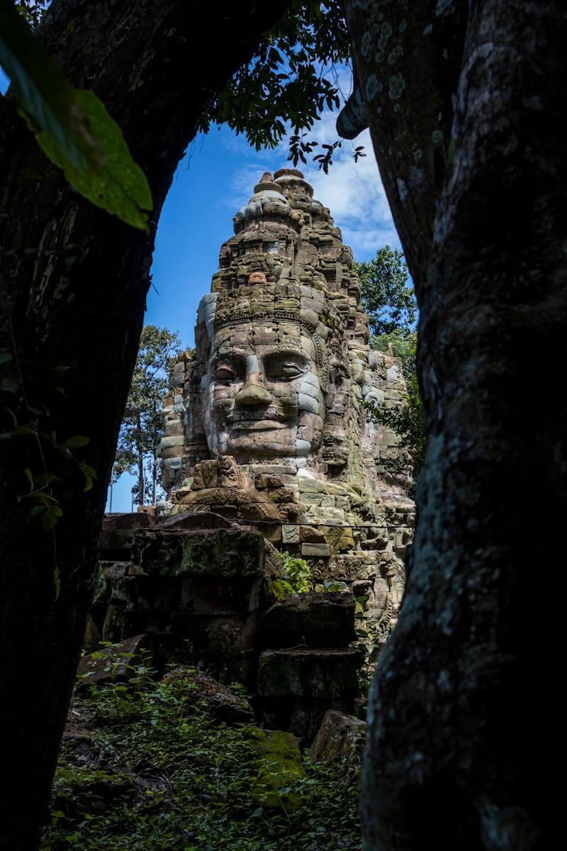 Ta Prohm - Cambodia tour packages