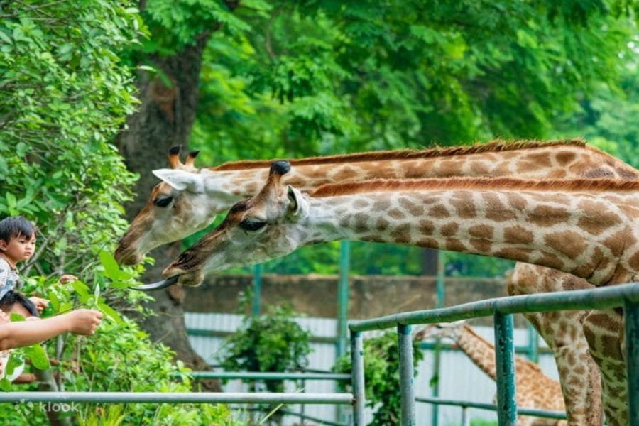 Saigon Zoo and Botanical Gardens - a top vietnam spots for family vacation