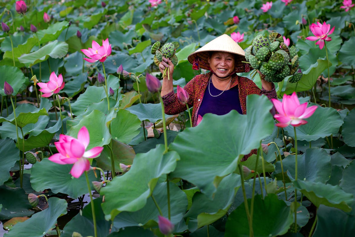 Hoi An Vietnam - Southeast Asia Trips