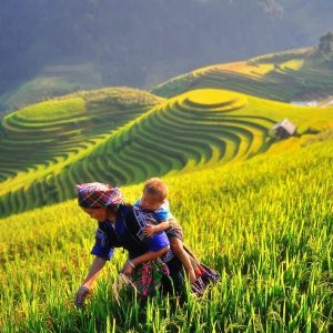 Mu_Cang_Chai ’s rice terraces in Vietnam
