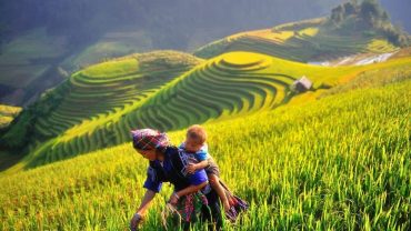 Mu_Cang_Chai ’s rice terraces in Vietnam