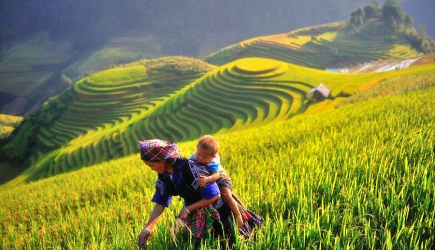 Mu_Cang_Chai ’s rice terraces in Vietnam