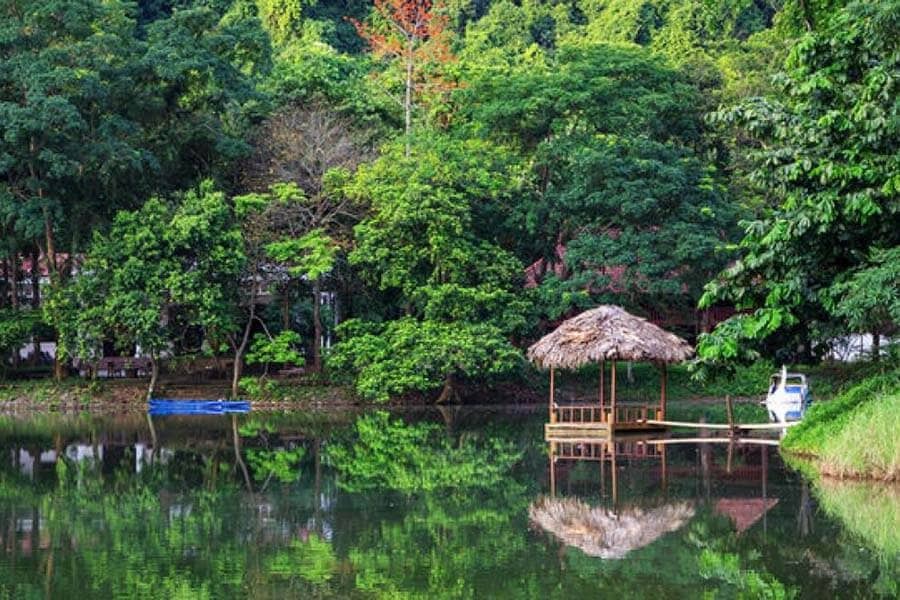 Nam Cat Tien National Park offers a rich biodiversity experience in Vietnam