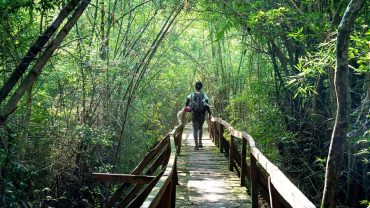 Trekking through the jungle of Nam Cat Tien National Park.