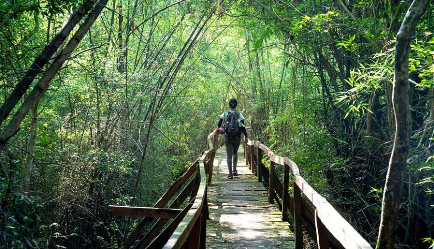 Trekking through the jungle of Nam Cat Tien National Park.