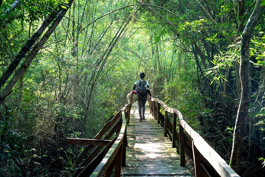 Trekking through the jungle of Nam Cat Tien National Park.