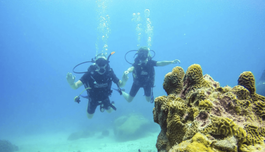 Nudibranch Gardens - A Vietnam Diving Site