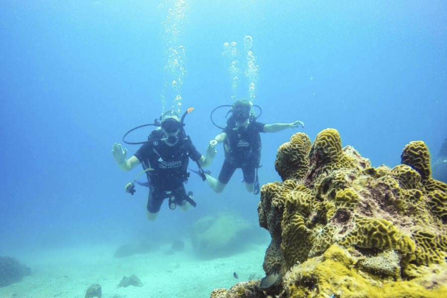 Nudibranch Gardens - A Vietnam Diving Site