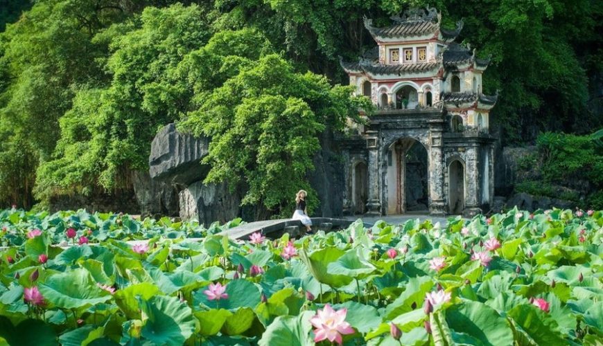 Tam Coc - Ninh Binh Travel Guide