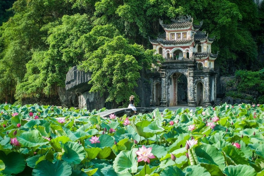 Tam Coc - Ninh Binh Travel Guide