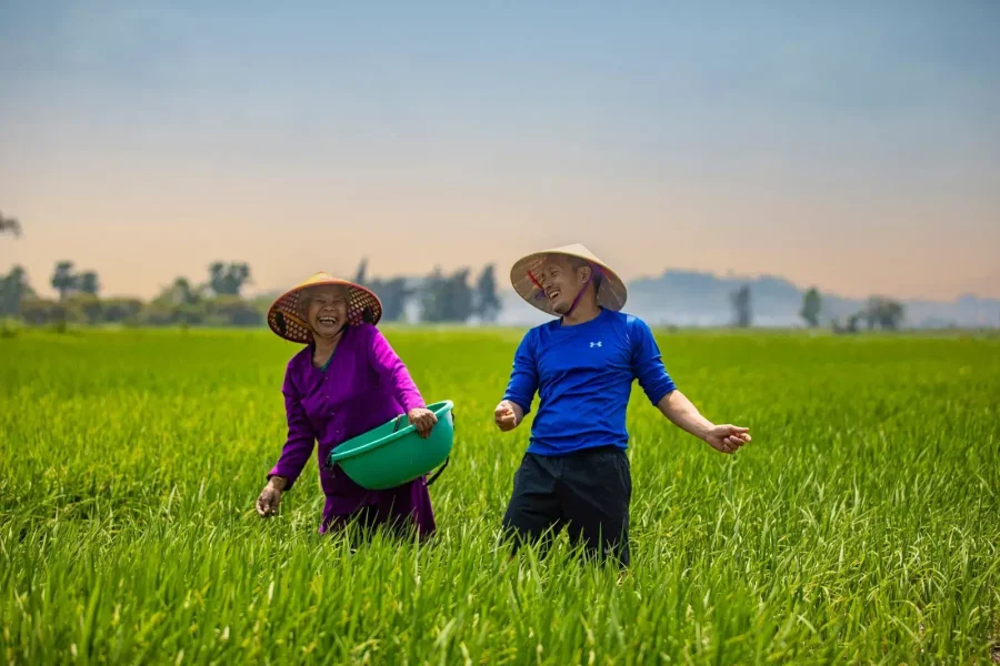 affordable indochina tour package 16 days