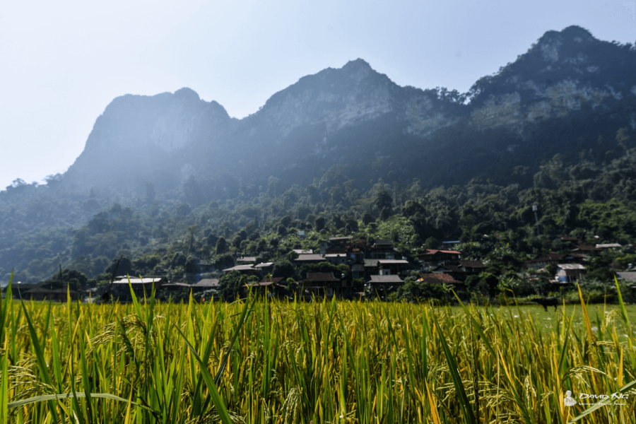 best laos vietnam uncovered 16 days tour