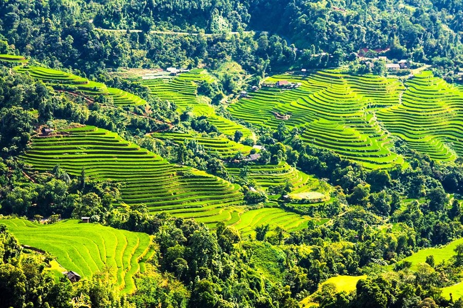 ha giang ’s rice terraces in Vietnam