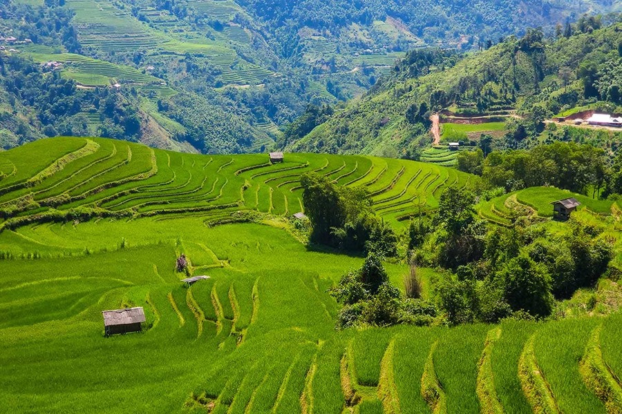 hoang-su-phi’s rice terraces in Vietnam