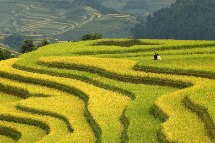 local vietnam laos journey 17 days itinerary