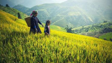 spring in nothern vietnam - Best Time to Visit Vietnam and Cambodia