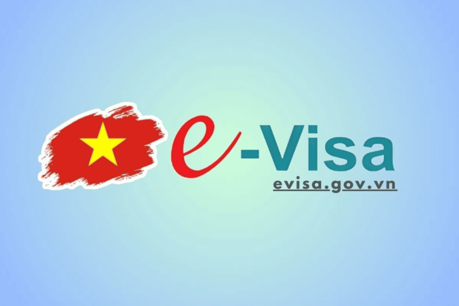 E-Visa Experience