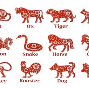 Vietnamese-zodiac - vietnam zodiac signs