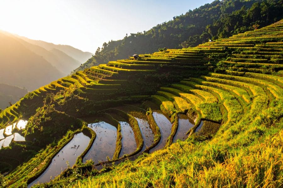 Mu Cang Chai_ Vietnam_s Most Photogenic Rice Terraces