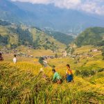 explore Sapa Vietnam