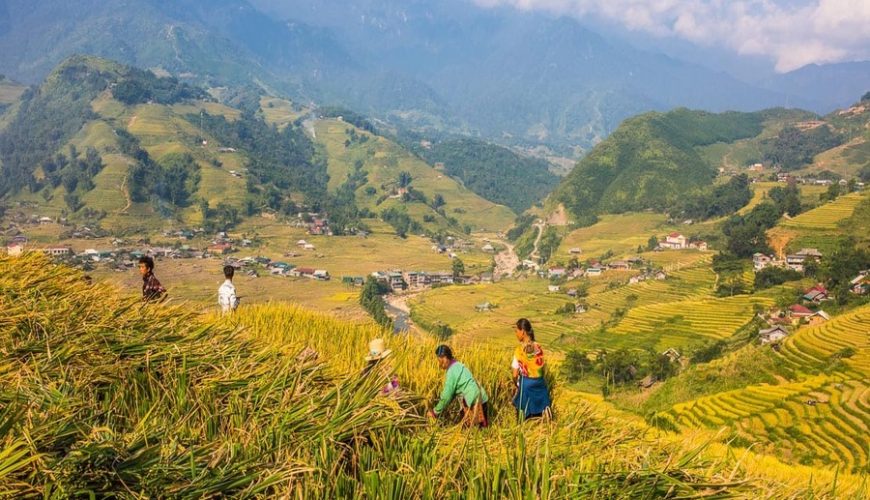 explore Sapa Vietnam