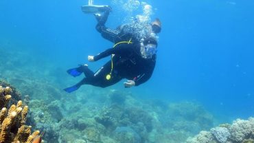 Best Diving Destinations in Vietnam for Beginners and Experienced Divers