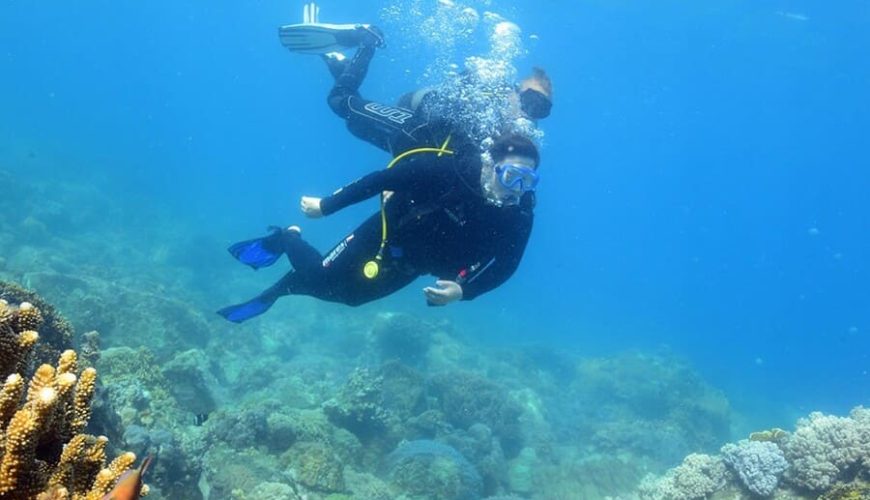 Best Diving Destinations in Vietnam for Beginners and Experienced Divers