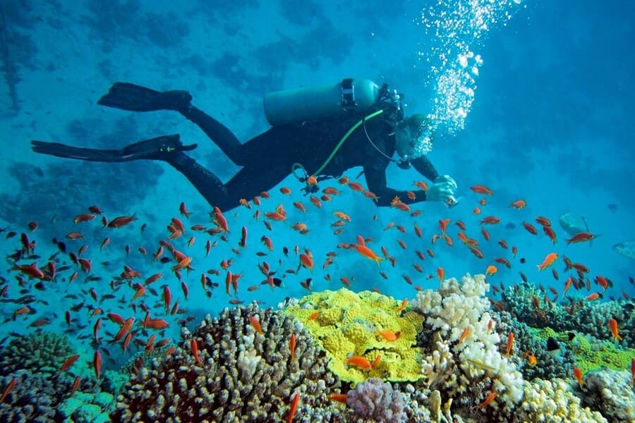 Con Dao Islands - diving destinations in Vietnam