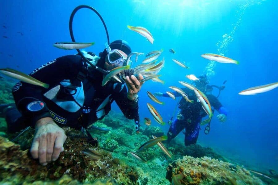 Nha Trang - scuba diving in Vietnam