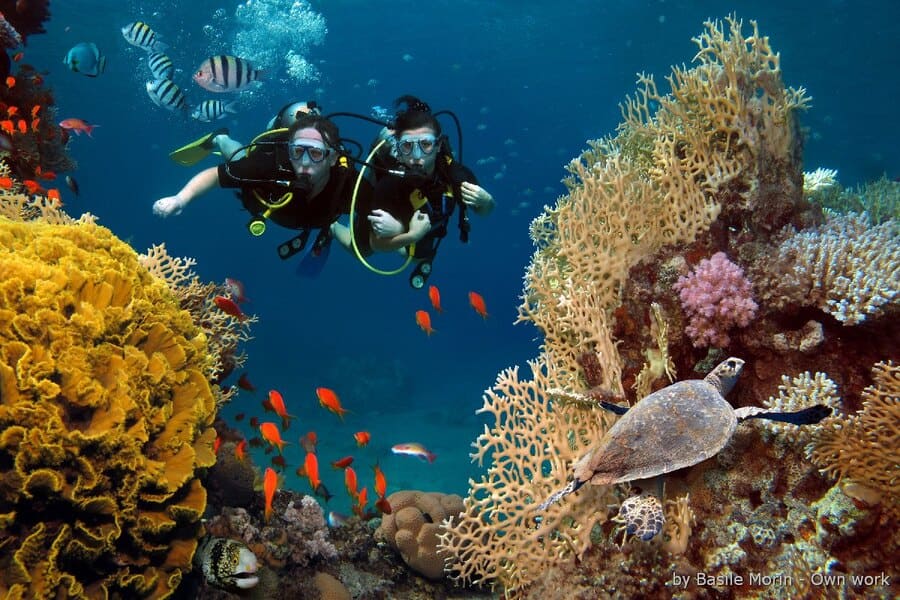 Phu Quoc Island - best diving destinations in Vietnam